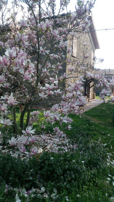 Agriturismo Solidor Pitigliano Exterior foto