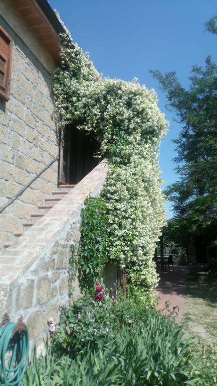 Agriturismo Solidor Pitigliano Exterior foto