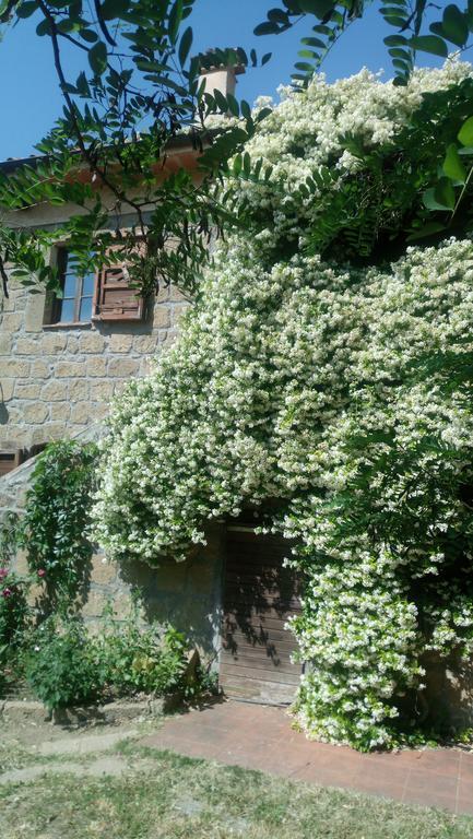Agriturismo Solidor Pitigliano Exterior foto